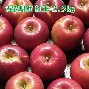 訳あり 青森りんご 紅玉 2.5kg 約13〜17個入り 宅配便 送料無料