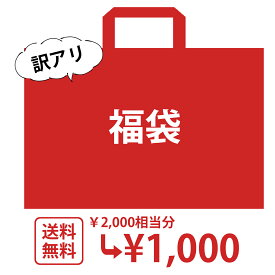 福袋 訳アリ ネイル福袋 選べる2タイプ【ジェル ネイル ネイルセット パーツセット】