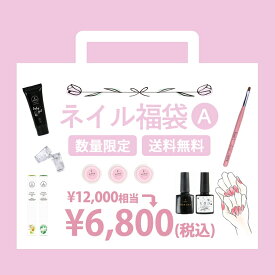 数量限定 AQUA NAIL人気商品入り お試しネイル福袋A ジェルネイル ネイルキット スターターキット LED UVライト