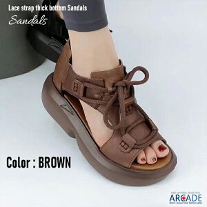 T_ fB[X JWAV[Y T_  C RtH[gT_ OfBG[^[ [XAbv Jo[ EVA\[ X|[cT_