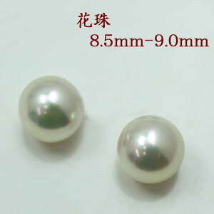 y49,500~44,550~zySi|Cg10{z ^ sAX CO p[ yA[ ^ AR{^ 8.5mm-9mm p[yA[[X Ԏ^ 嗱  zCgsNJ[ X^bh 