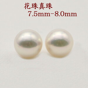 ^ sAX CO p[ yA[ ^ AR{^ 7.5mm-8mm Ԏ^ p[yA[[X Ԏ zCgJ[