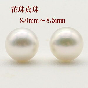 yVbv[ 4.8z ^ sAX CO p[ ^ 8mm-8.5mm Ԏ^ p[ yA[ [X AR{^ 8mm Ԏ  tH[}