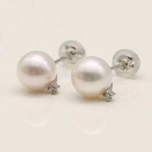 ^ p[ sAX ^ p[sAX AR^ 7mm-7.5mm zCgsNJ[ fUC _C 1 X^bh