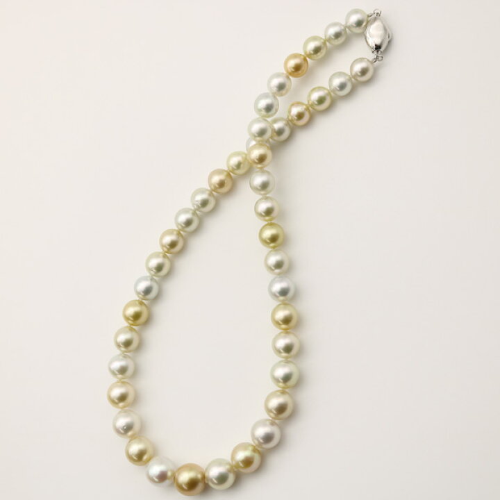 楽天市場】真珠 パール ネックレス 白蝶真珠 南洋真珠 パール  