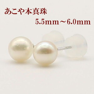 ^ p[ sAX ^ p[ sAX AR{^ 5.5mm-6mm zCgS[h X^bh sAX ɐu xr[p[   Ǝ w tH[} p[ ^ [
