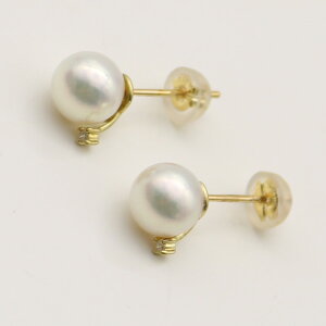 ^ p[ sAX ^ sAX AR^ 7mm-7.5mm zCgsNJ[ fUC