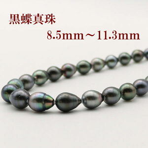 ^ p[ lbNX ^ p[lbNX 8.3mm-11.9mm ^ s[RbNO[J[ 嗱 S[WX ^q`