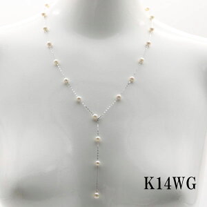 ^ p[ lbNX ^ p[lbNX 5mm-6mm Xe[V O 60cm fUC K18 K14WG AR{^ JWA