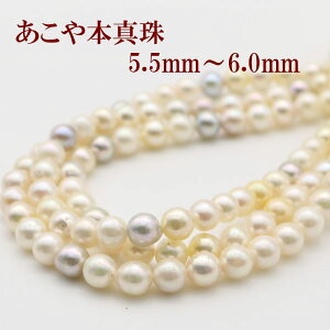 ^ p[ lbNX ^ 5.5mm-6mm 3A }`J[ O Vo[ AR{^ JWA