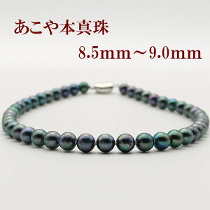 ^ p[ lbNX ^ p[lbNX 8.5mm-9mm ^ ubNp[ ubNJ[