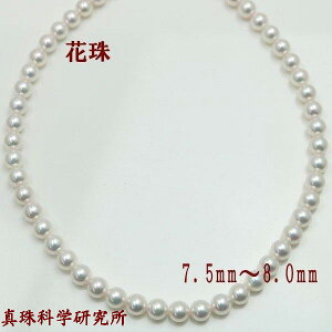 ^ p[ lbNX ^ p[lbNX 7.5mm-8mm I[ Ԏ^ ӕʏ i  tH[}