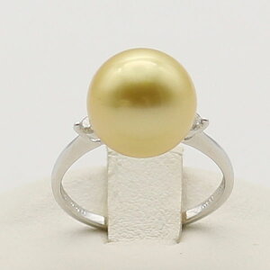 ^ w p[O ^ m^ 10mm _C O i`S[hJ[ fUC ɐu  v`i