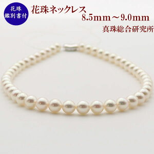 ^ p[ lbNX ^ p[lbNX AR{^ 8.5mm-9mm Ԏӕʏ  tH[}