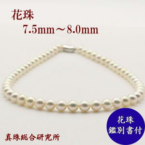 yVbv[ 4.8z ^ p[ lbNX ^ p[lbNX 7.5mm-8mm Ԏ^ ӕʏ  tH[} ^쑍