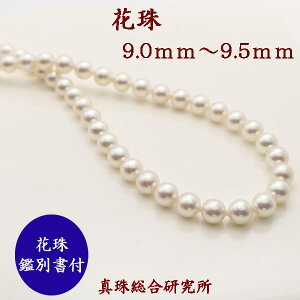 Ԏ^ p[ lbNX AR^ ^ 9mm-9.5mm Ԏӕʏ i `[J[ p[ ^ [Xg[ w Ǝ     tH[} 嗱 