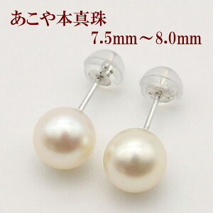 ^ p[ sAX ^ p[ sAX AR {^ 7.5mm-8mm zCgJ[  JWA