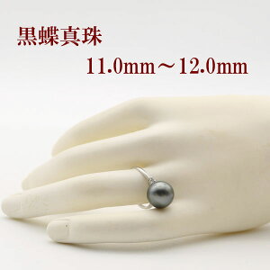 真珠 指輪 デザインの人気商品・通販・価格比較 - 価格.com 