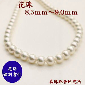 ^ p[ lbNX Ԏ^ ^ p[lbNX AR{^ 8.5mm-9mm Ԏӕʏ i  A^쑍 tH[}