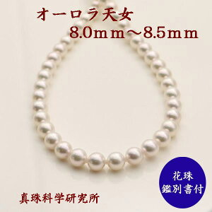 yVbv[ 4.8z ^ p[ lbNX ^ p[lbNX 8mm-8.5mm I[ V Ԏ^ ӕʏ i  tH[} w Ǝ l uC_