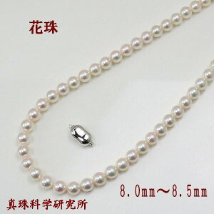 ^ p[ lbNX ^ p[lbNX 8mm-8.5mm zCgsNJ[ I[ Ԏ^ ӕʏ i tH[}