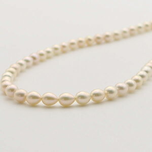 ^ p[ lbNX W^ p[lbNX 6mm-6.5mm Wp[ IW`zCgJ[ Vo[ fUC JWA