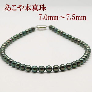 ^ p[ lbNX ^ p[lbNX 7mm-7.5mm ^ ubNp[ ubNJ[ Vo[ AR{^  V  @