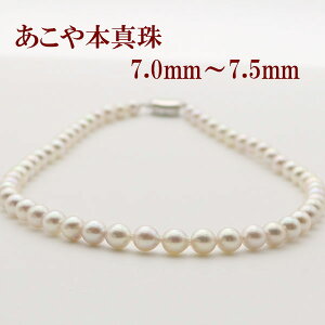 ^ p[ lbNX ^ p[lbNX 7mm-7.5mm zCgsNJ[ Vo[ AR{^  tH[} yM.Kz