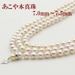 ^ p[ OlbNX ^ O p[ lbNX 7mm-7.5mm 120cm zCgJ[ Vo[ AR{^ JWA