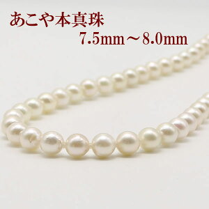 ^ p[ lbNX AR^ p[lbNX ^ 7.5mm-8mm zCgO[sNJ[ Vo[ ɐu fB[X ʔ   w Ǝ   