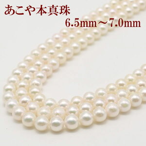 ^ p[ O lbNX 6.5mm-7mm 120cm Vo[ zCgp[ zCgJ[ AR{^