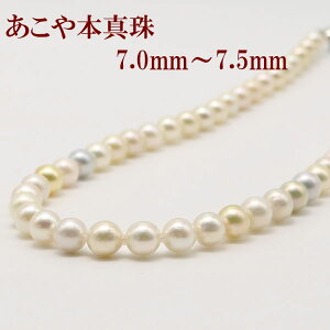 ^ p[ lbNX ^ p[ lbNX AR{^ 7mm-7.5mm }`J[ JWA