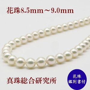 ^ p[ lbNX Ԏ^ ^ p[lbNX AR{^ 8.5mm-9mm Ԏӕʏ i  A^쑍 tH[}