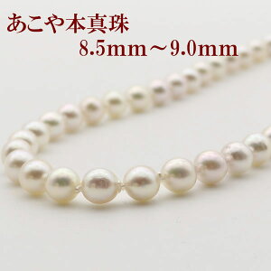 ^ p[ lbNX ^ p[lbNX AR{^ 8.5mm-9mm obNp[ zCgJ[ JWA 嗱  lC 