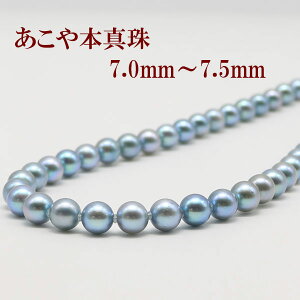 ^ p[ lbNX ^ p[lbNX 7mm-7.5mm Vo[ u[O[J[  V @ AR{^