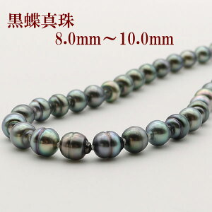 真珠 パール ネックレス 黒蝶真珠 パールネックレス 8mm-10mm ブラックカラー シルバー ブラックパール 黒真珠 カジュアル
