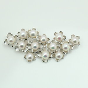 ^ p[ u[` ^ 7mm-7.5mm p[ 13pcs Vo[ u[` y_g 2EGC zCgsNJ[ Ǝ w  Ԃ tH[}   u[`  