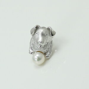 ^ p[ u[` ^ ^C^bN AR^ V[Y {[_[R[ p[ ^ [Xg[ u[`  Ǝ w Vv i p[ k Vo[ 