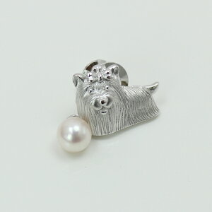 ^ p[ u[` ^ ^C^bN AR^ V[Y [NVeA p[ ^ [Xg[  Ǝ w k s Vo[