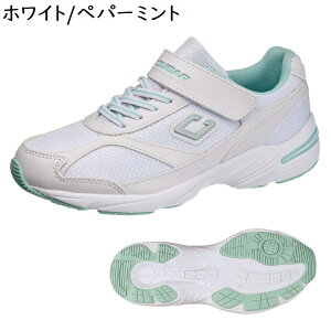 Xj[J[ h ʊwC ^C   w w WjA XN[V[Y 19`26cm ATqV[Y N[K[ J003WS y