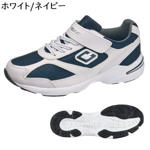 Xj[J[ h ʊwC ^C   w w WjA XN[V[Y 19`26cm ATqV[Y N[K[ J003WS y