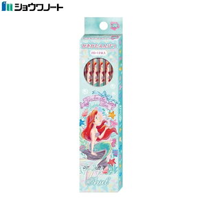 M 2B 12{ g}[Ch AG LN^[ ̎q wZ VEm[g