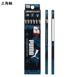 PUMA  M 2B j̎q Zp/Op 12{ Nc