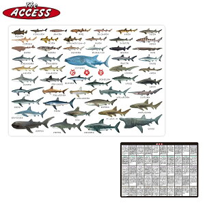 ���~�� ������ �������� �}�� A4 �� ���� ������ �� �g�J�Q ���� �b�� �C�� �L �~ �M���� �y���M�� �C�b ����{�鍑�C�R �U�E�A�N�Z�X