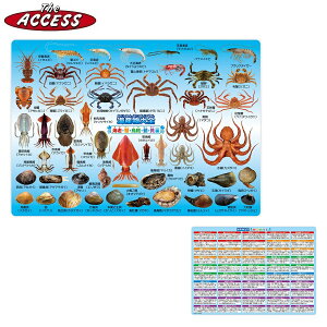 ���~�� ������ �������� �}�� A4 �U�E�A�N�Z�X �C�Y����S �C�V�E�I�E�G���E���E�L