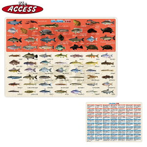 ~   A4  T UEANZX {̍ݗƊO