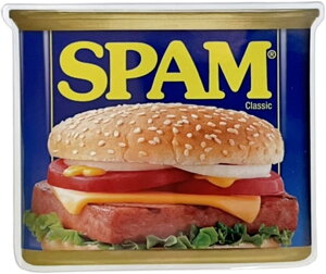 SPAM ʁ@XebJ[
