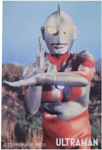 Eg}V[Y[rbOV[]_CJbgrj[XebJ[/Eg}ʎʐ^@ނIׂ܂