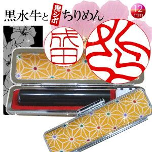 ܎O Mtg s   a ߂ ͂ P[Xt S12J[ 12mm j  P[XtZbg F El ` dグ̗Dȕ̈ Mtg oYj ^ CG[ 