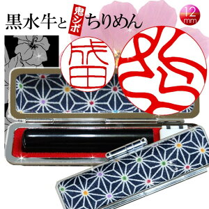 ܎O Mtg s   a ߂ ͂ P[Xt S12J[ 12mm j  P[XtZbg F El ` dグ̗Dȕ̈ Mtg oYj ^ CG[ 